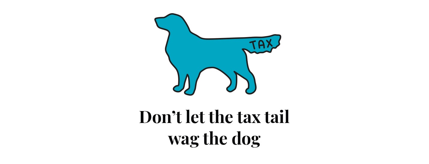 dog-1
